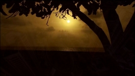 Kundali Bhagya - 16th August 2023